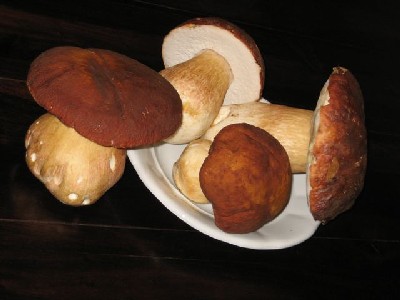 mid-decembrski gobani, osrednjeslovenska regija