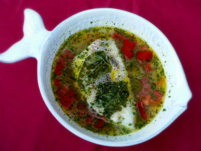 riba v svojem poslednjem ribniku