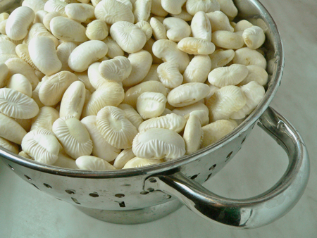 fazul-surov fazul-surov